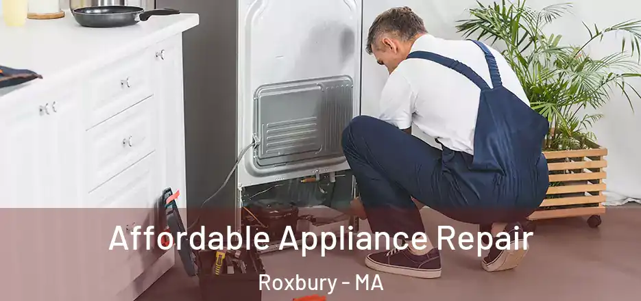  Affordable Appliance Repair Roxbury - MA