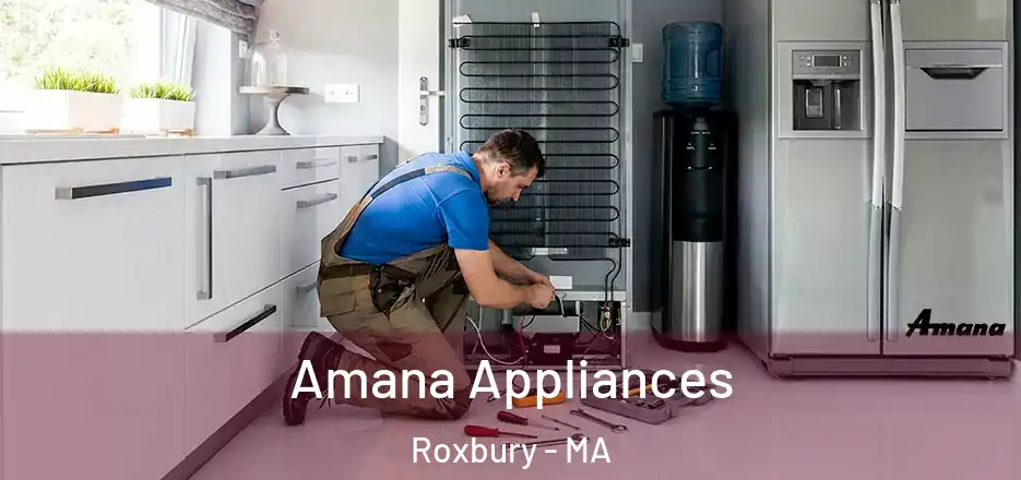  Amana Appliances Roxbury - MA