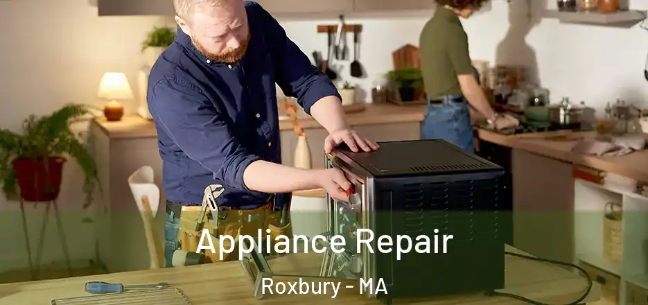  Appliance Repair Roxbury - MA