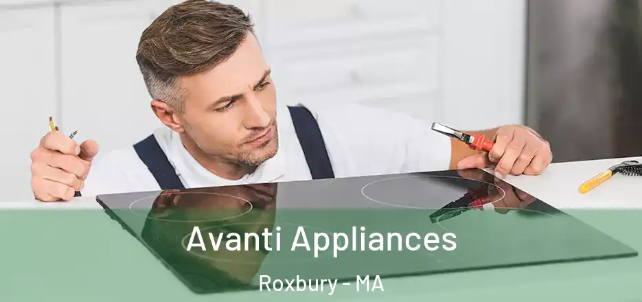  Avanti Appliances Roxbury - MA