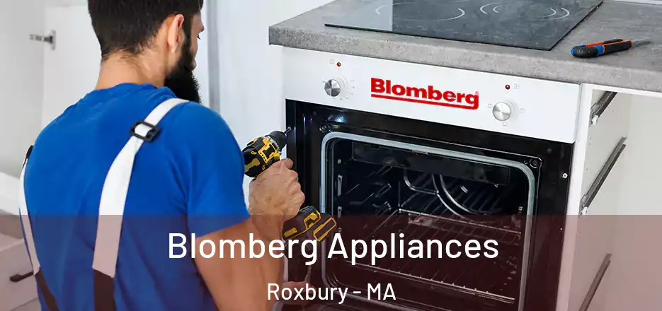 Blomberg Appliances Roxbury - MA