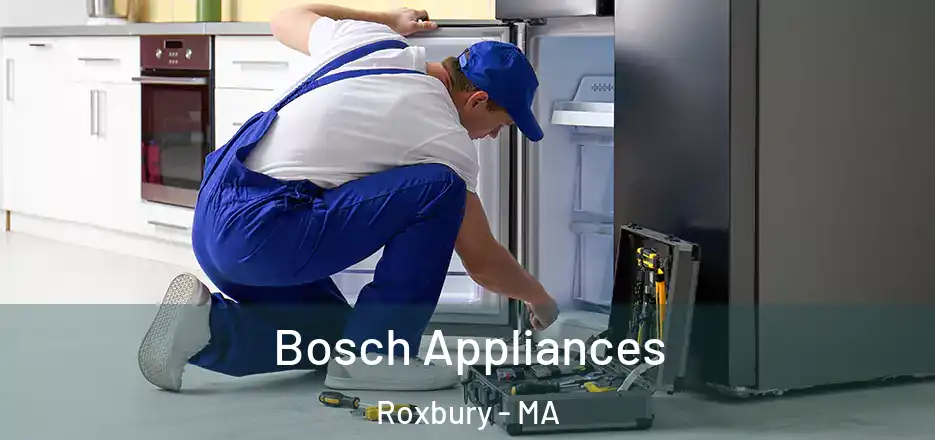 Bosch Appliances Roxbury - MA