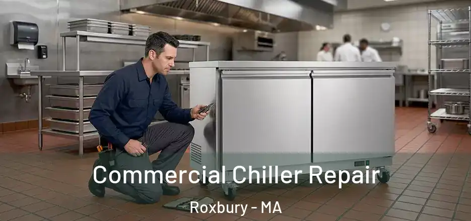 Commercial Chiller Repair Roxbury - MA