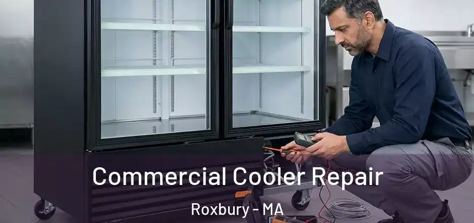  Commercial Cooler Repair Roxbury - MA