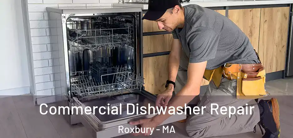 Commercial Dishwasher Repair Roxbury - MA