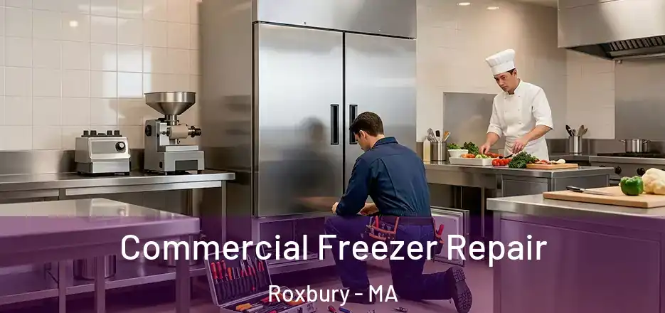 Commercial Freezer Repair Roxbury - MA