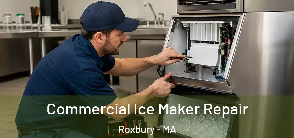 Commercial Ice Maker Repair Roxbury - MA
