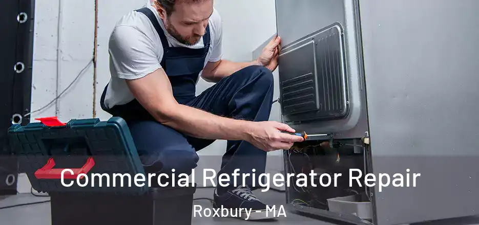  Commercial Refrigerator Repair Roxbury - MA