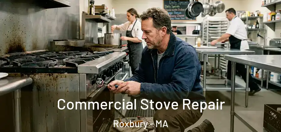 Commercial Stove Repair Roxbury - MA