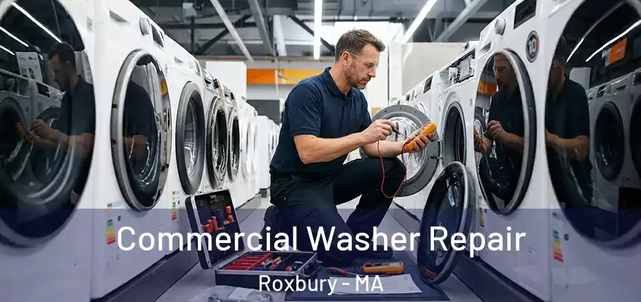 Commercial Washer Repair Roxbury - MA