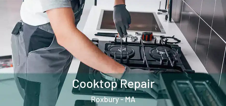  Cooktop Repair Roxbury - MA