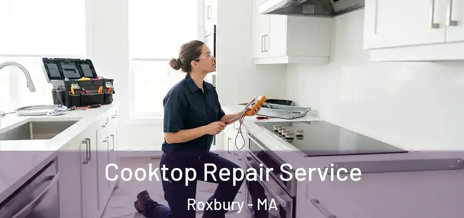 Cooktop Repair Service Roxbury - MA