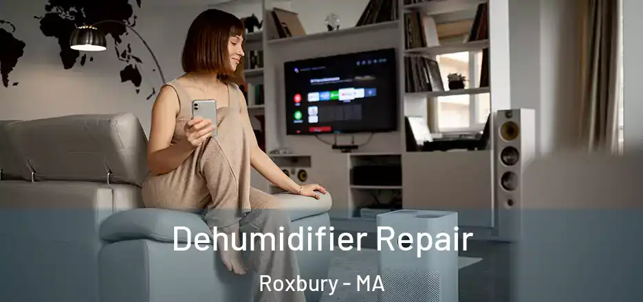 Dehumidifier Repair Roxbury - MA