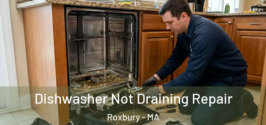 Dishwasher Not Draining Repair Roxbury - MA