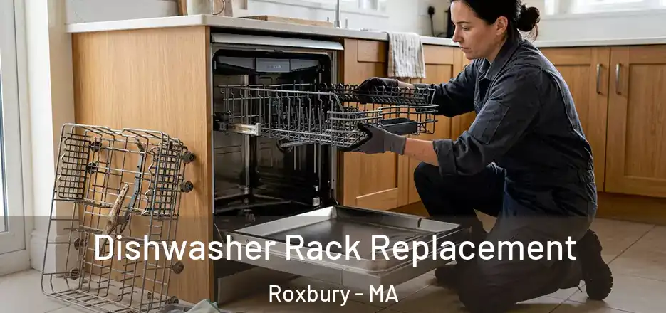 Dishwasher Rack Replacement Roxbury - MA