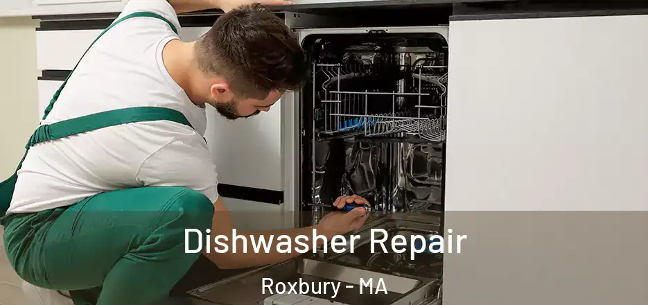 Dishwasher Repair Roxbury - MA