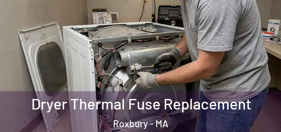 Dryer Thermal Fuse Replacement Roxbury - MA