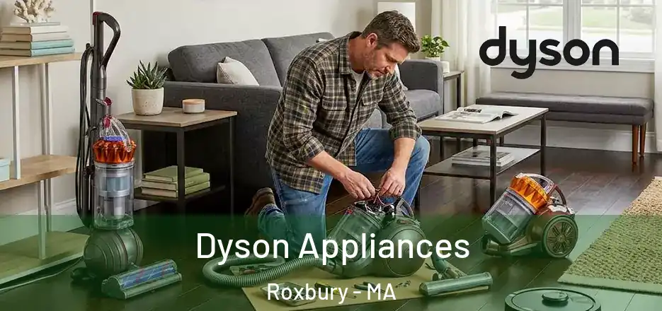 Dyson Appliances Roxbury - MA