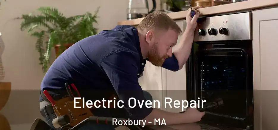 Electric Oven Repair Roxbury - MA