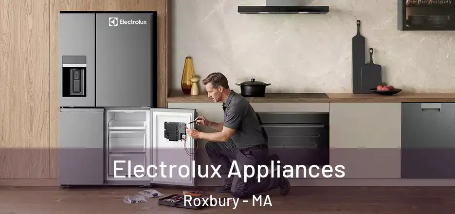  Electrolux Appliances Roxbury - MA