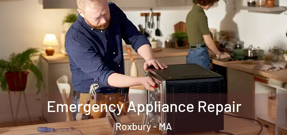 Emergency Appliance Repair Roxbury - MA