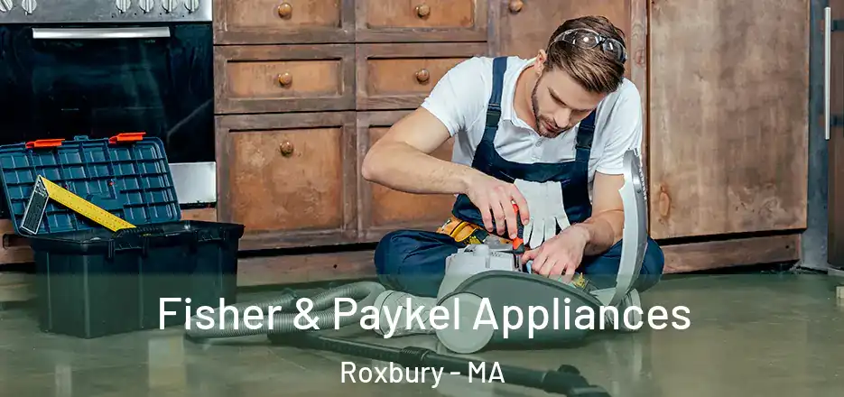 Fisher & Paykel Appliances Roxbury - MA