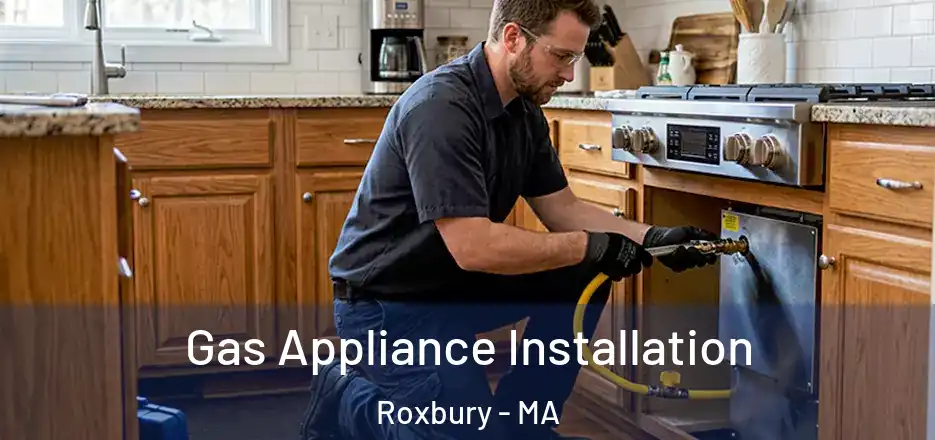 Gas Appliance Installation Roxbury - MA