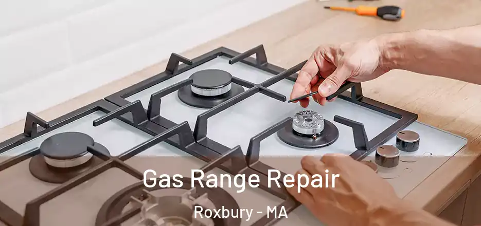 Gas Range Repair Roxbury - MA