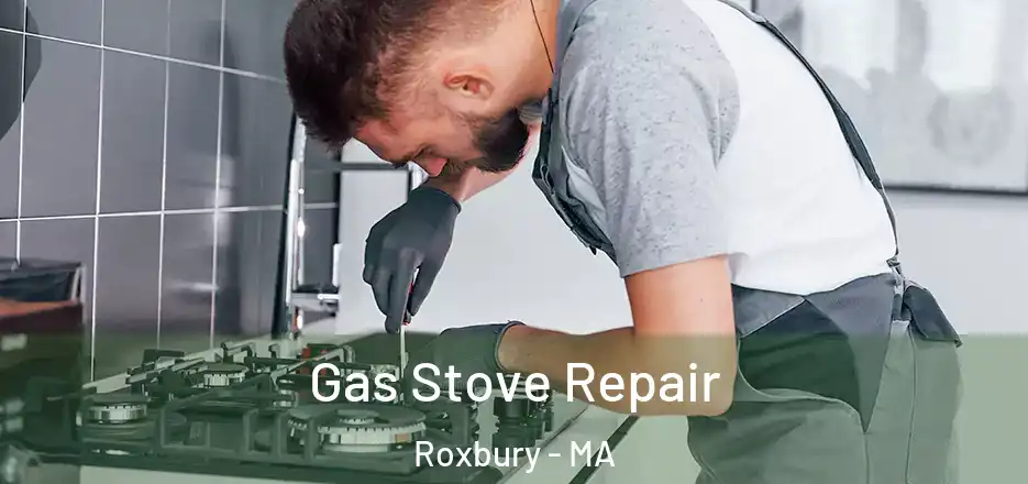 Gas Stove Repair Roxbury - MA