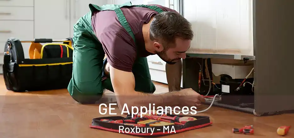  GE Appliances Roxbury - MA