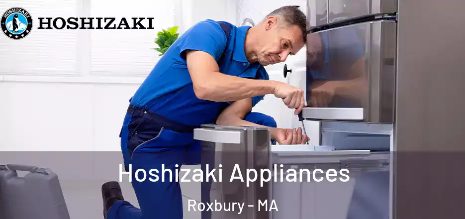  Hoshizaki Appliances Roxbury - MA