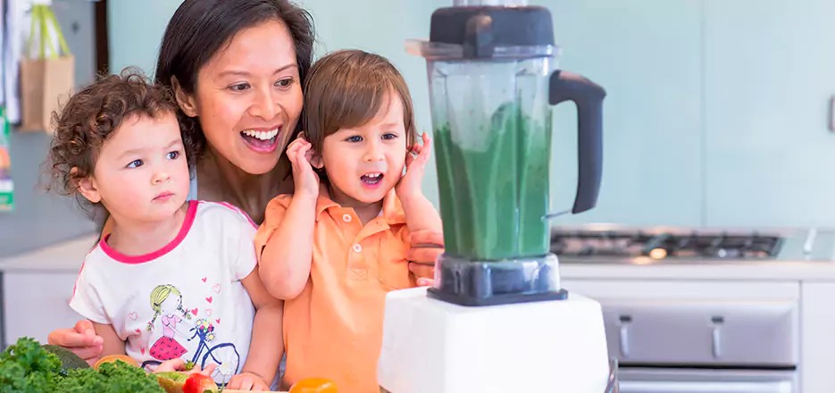 Juicer and Mixer Blender Repair in Roxbury