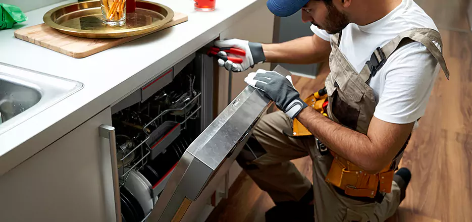 Same Day Dishwasher Not Draining Repair in Roxbury