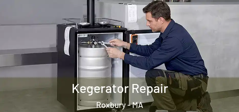 Kegerator Repair Roxbury - MA