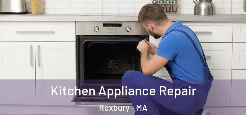  Kitchen Appliance Repair Roxbury - MA