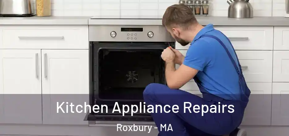 Kitchen Appliance Repairs Roxbury - MA