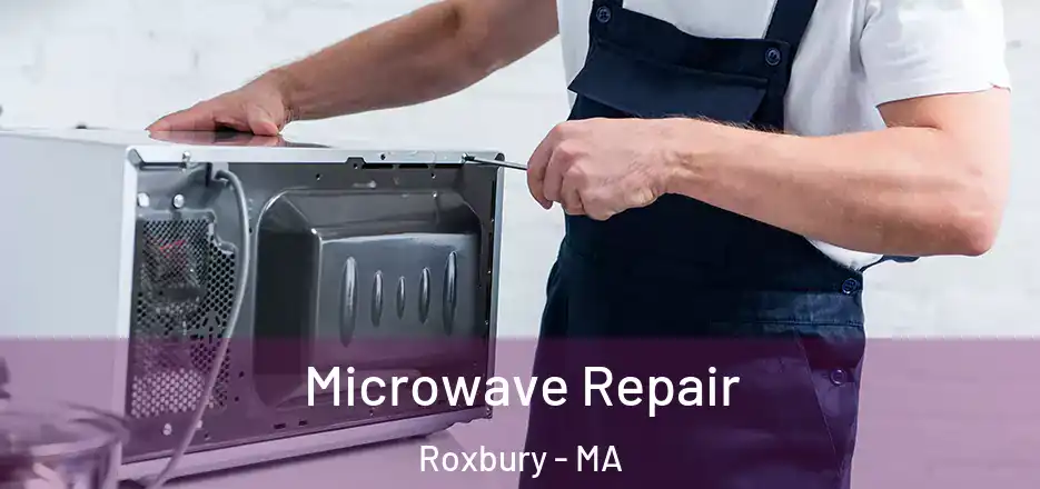 Microwave Repair Roxbury - MA