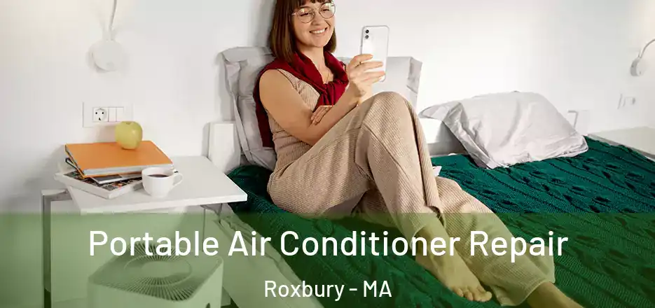  Portable Air Conditioner Repair Roxbury - MA