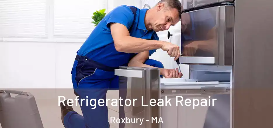 Refrigerator Leak Repair Roxbury - MA