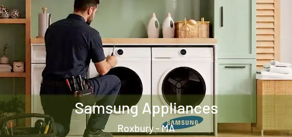 Samsung Appliances Roxbury - MA