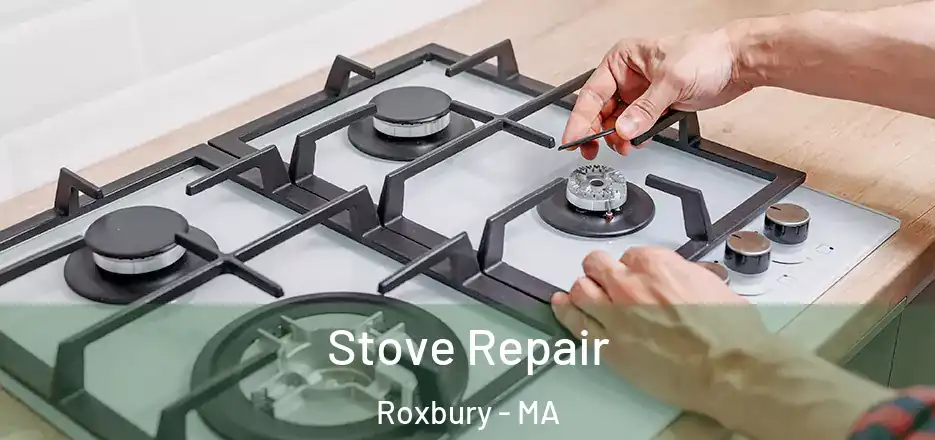  Stove Repair Roxbury - MA