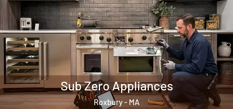 Sub Zero Appliances Roxbury - MA