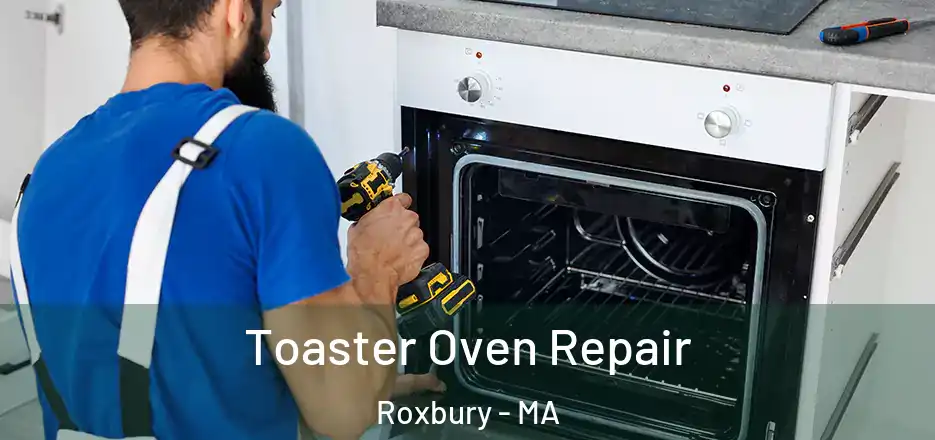 Toaster Oven Repair Roxbury - MA