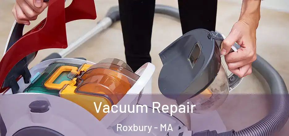 Vacuum Repair Roxbury - MA
