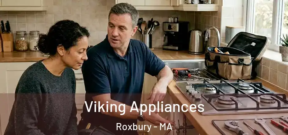 Viking Appliances Roxbury - MA