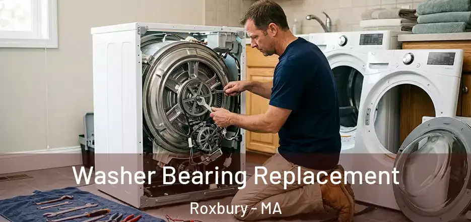Washer Bearing Replacement Roxbury - MA