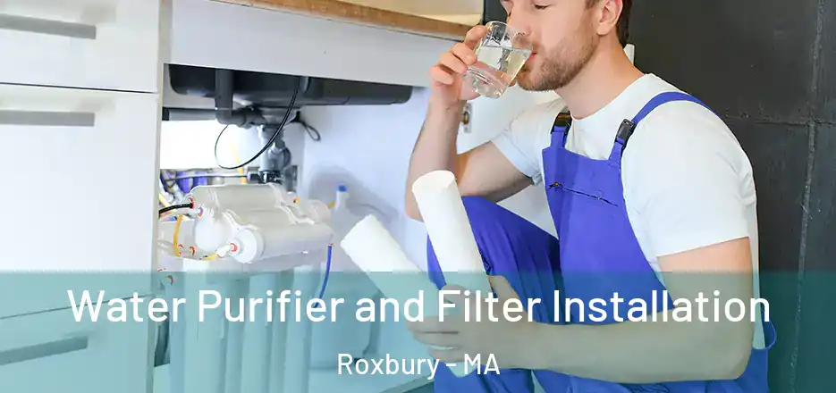 Water Purifier and Filter Installation Roxbury - MA