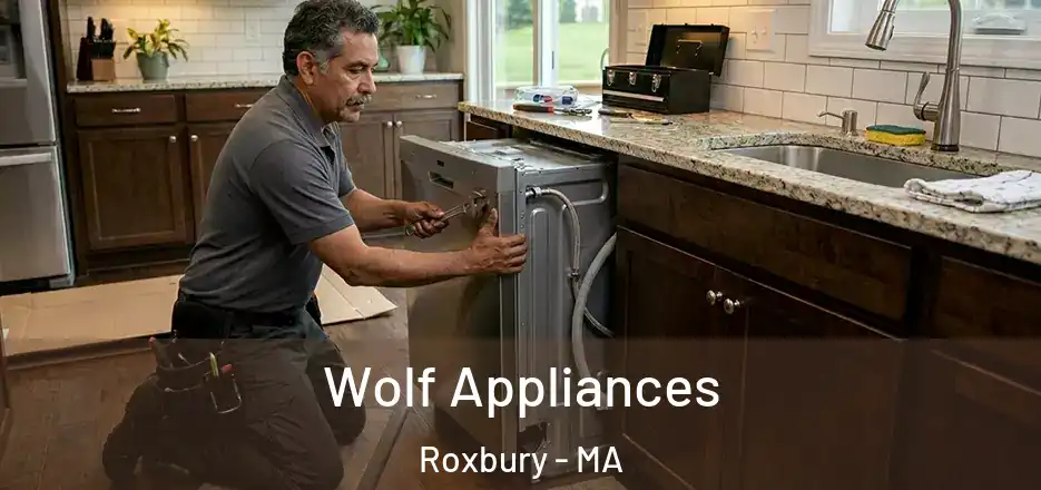 Wolf Appliances Roxbury - MA